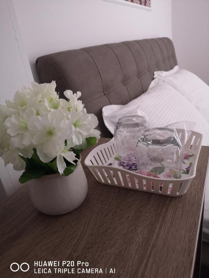 Casa Hortensia Tasnad Zewnętrze zdjęcie