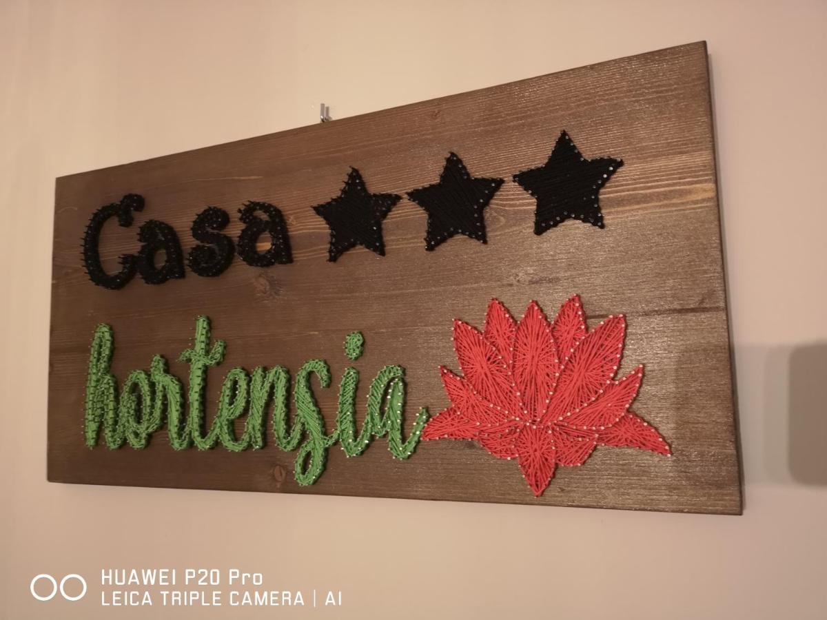 Casa Hortensia Tasnad Zewnętrze zdjęcie